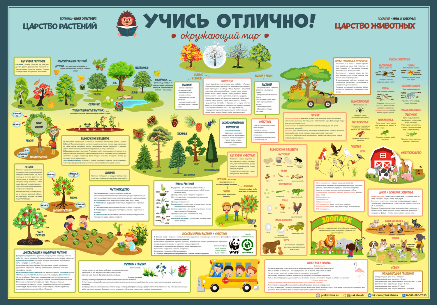 Ознакомление с окружающим миром - Детский центр АБВГД